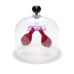 Lung Apparatus